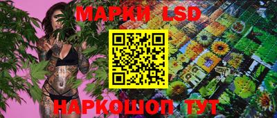 spice Баксан