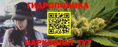 спиды Аша