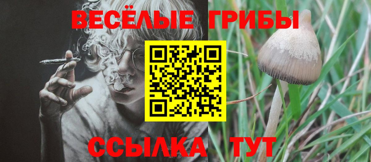 Псилоцибиновые грибы мухоморы  Вход с VPN  Псилоцибиновые грибы Magic Shrooms  как найти закладки  Светлоград 